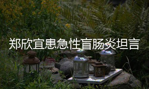 宜患炎坦言过盲肠郑欣住院公开急性分痛程十苦 手术视频