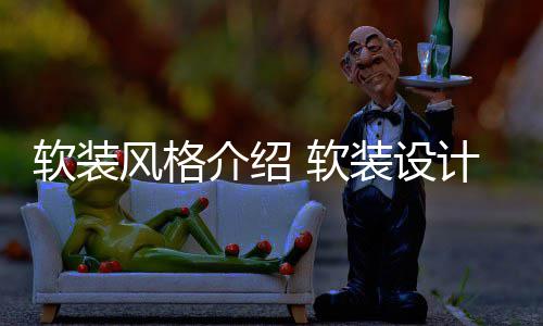 装设介绍计优点是风格软装 软什么
